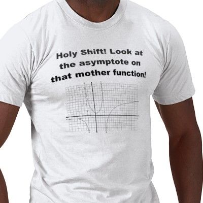 Holy Shift! Look at the asymptote on that mother function!